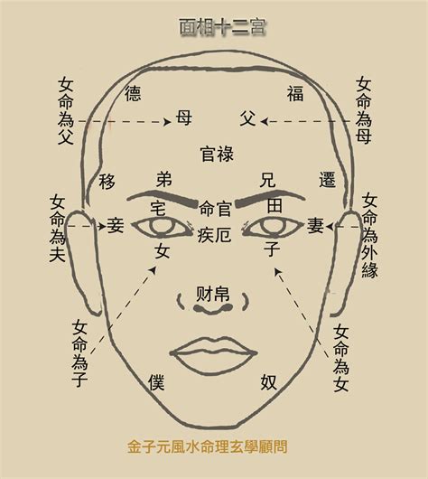 雙夫命面相|《玄學面相